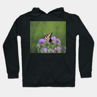 Yellow Swallowtail on Thistle 2 Hoodie